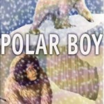 polar boy